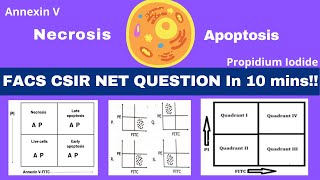 Flow cytometry data analysis FACS amp Apoptosis CSIR NET Life SciencesDec2019Dec2012Dec2014 [upl. by Ilaw264]