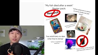 my fish died after a week starter pack [upl. by Aihsekyw825]