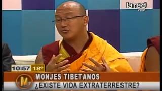 Monjes tibetanos responden nuestras dudas sobre la reencarnación [upl. by Srednas719]