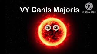 What Is VY Canis Majoris  Space Science [upl. by Urien]