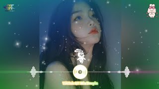 雪儿  你是我唯一的執著 DJ抖音版 2024 You Are My Only Obsession Remix TikTok  Hot Tiktok Douyin [upl. by Aeslahc541]