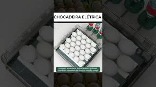 Chocadeira elétrica e prática [upl. by Tranquada]