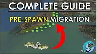 Easy Guide to PreSpawn Bass Fishing  Best Spring Fishing Areas [upl. by Acinad]