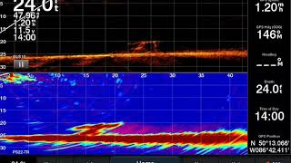 Livescope vs Panoptix [upl. by Airotkiv]