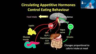 New insights into understanding and treating obesity Part 12  Dr Tony Goldstone [upl. by Volnay719]