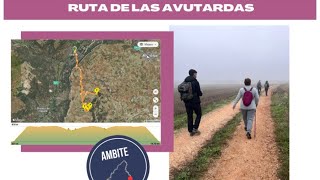 Ruta de las Avutardas Ambite Video con toda la ruta y explicación diferentes zonas Ambite [upl. by Oiretule]