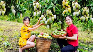 Harvesting Mango Goes To The Market Sell  Cooking Fish  Hanna Daily Life [upl. by Ettevad718]