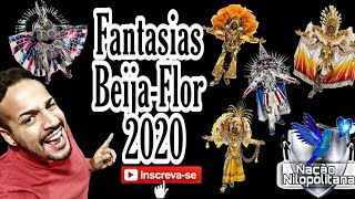 Fantasias BeijaFlor de Nilópolis 2020 [upl. by Ck480]