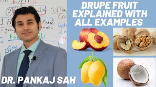 FRUITS PART 3 DRUPE FRUIT TYPE Explained in Detail with All Examples [upl. by Jeralee786]