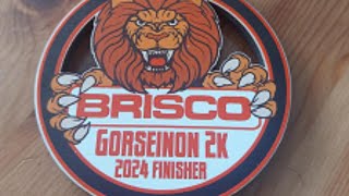 Brisco Gorseinon 10K amp 2K Family Fun Run [upl. by Lark404]