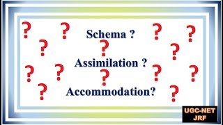 schema assimilation accommodation [upl. by Nilla]