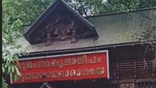 മന്ദാരശാലയെന്ന മണ്ണാറശ്ശാല🙏Mannarasala Srinagaraja templeyoutube video [upl. by Eltsirc62]