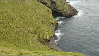 Puffin island [upl. by Schertz]