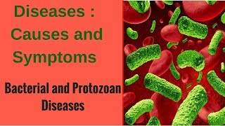 Diseases  Bacterial and Protozoan Diseases [upl. by Darrin]