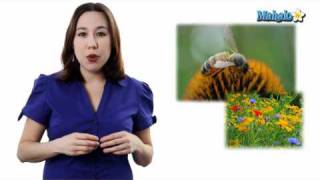 Learn Biology Community Ecology Interspecific Interactions [upl. by Ahsyat437]