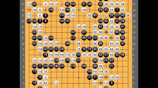 AlphaGo vs AlphaGo 30 棋譜 [upl. by Coveney]