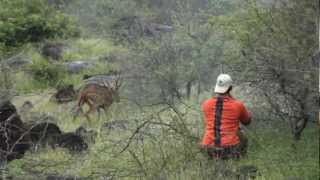 Ponos Muzzleload Lanai Axis Deer Hunt [upl. by Wainwright]