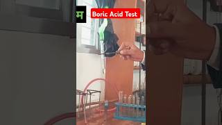 Boric Acid Test Chemistry Experiment By Mk sir short youtube vedio [upl. by Norbel71]