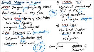 Pancreatic Carcinoma  Robbins pathology chapter 17 pancreas pathology pathology mbbslectures [upl. by Weslee]