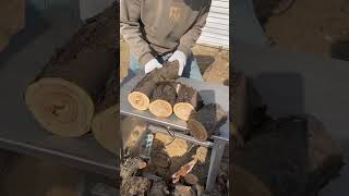 Wood cutting blade viralvideo woodworking decoration tools shorts [upl. by Ffej345]