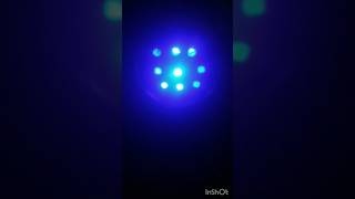 New rgb disco light [upl. by Sheelah]