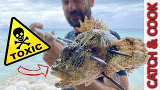 Spearfishing for VENOMOUS Scorpion Fish  Catch Clean Cook [upl. by Beka]