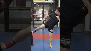 Tricky Savate Kicks savate shorts [upl. by Alric]