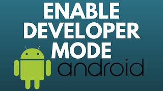 How to Enable Developer Options on Android  Turn On Android Developer Options [upl. by Alekahs102]