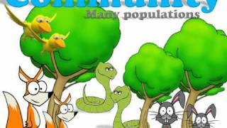 Ecology Introduction [upl. by Kloman]