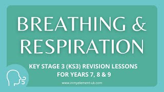 Breathing amp Respiration What happens when we breathe in and out  Biology Revision Years 7 8 amp 9 [upl. by Rainah]