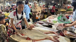 Market show  Chef pich buy big river fish and some ingredients for cooking  Cooking with Sreypich [upl. by Naitsabes]