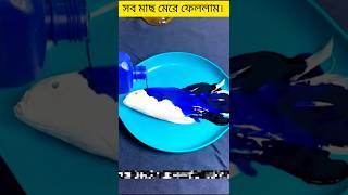 সব🐠মাছ মরে😱গেলো তাইsob Mach more galo Tai antifungal medicinedilamaquariam shortstrendingshorts [upl. by Barnum101]