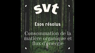 SVT Consommation de la matière organique et flux d’énergie [upl. by Enrev937]