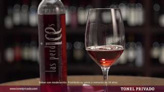 Hablemos de vinos Javier Paflik y LAS PERDICES Icewine [upl. by Adrien]