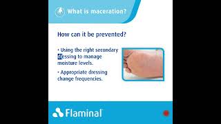 Flaminal®  How to manage maceration in the wound edges [upl. by Nyer34]