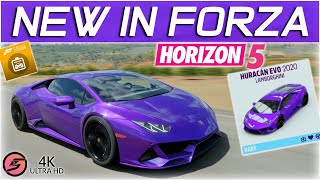 How to Get 2020 Huracan EVO in Forza Horizon 5 Mexico [upl. by Huppert537]