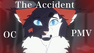 The Accident WARRIOR CATS OC PMV GORE WARNING [upl. by Owen]