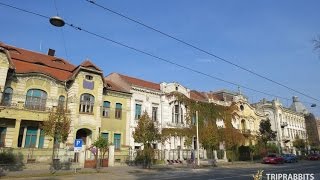 European Avenue street Osijek [upl. by Noteek]