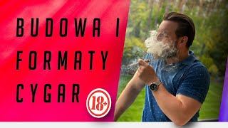 CYGARA  budowa i formaty Kompletny poradnik z ciekawostkami dla początkujących cigar aficionados [upl. by Osyth]