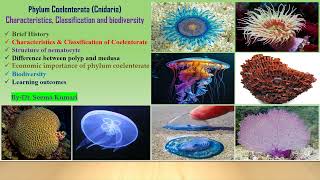 Characteristics and classification of phylum Coelenterata 🪼II Dr Seema [upl. by Leahcim]