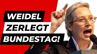 Unfassbar Alice Weidel zerlegt Bundestag komplett [upl. by Akkinahs]