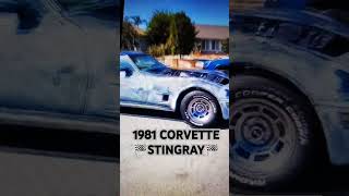 CORVETTE C3 1981 TEST DRIVE🏁🏁🏁🏁FINALLY 🏁🏁 [upl. by Sarine264]