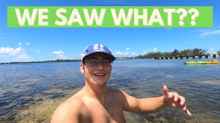 Kayaking through the Boca Grande Sandbar So Much Wildlife [upl. by Eenal]