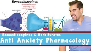 Anti Anxiety Pharmacology Benzodiazepines and Barbiturates [upl. by Anoif523]