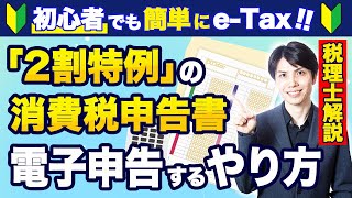 【2024年最新版】2割特例の消費税申告書をeTaxで電子申告するやり方を税理士がわかりやすく解説【確定申告個人事業主 [upl. by Halle]