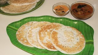 തട്ടുദോശ  നാടൻ ദോശ  സാദാ ദോശ  Perfect Dosa Batter Recipe  Dosa Recipe  Set Dosa Pachakalokam [upl. by Hbahsur]