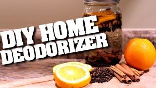 DIY Home Deodorizers How to Make a Home Deodorizer amp Keep Your Home Clean amp Fresh Clean My Space [upl. by Alokin]