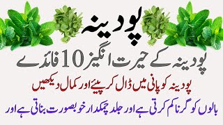 PUDINA Ke 10 Fayde Discover the Surprising Health Benefits in HindiUrdu  پودینہ کے فائدے [upl. by Toffic]