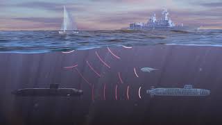 MoreToSea  All the mysteries about sonar [upl. by Eelyr]