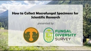 How to Collect Macrofungal Specimens for Scientific Research [upl. by Henning440]